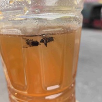 蜂蜜🍯