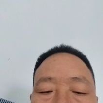 鲜荷花，切花