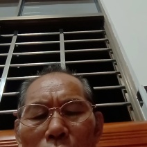 卖龙恨广东茂名龙眼大量上市中，产地亘供质量保证适合全国发