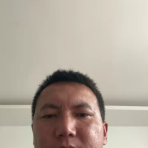 香格里拉鲜松茸