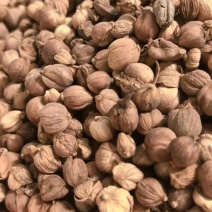 白蔻500g白扣白豆蔻豆叩圆豆蔻香料卤料炖肉中药材大全代发批