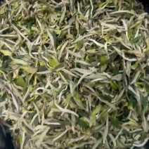 老树牡丹新茶优质茶品品味好茶支持一件代发