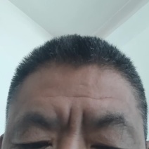 白豆王豆角