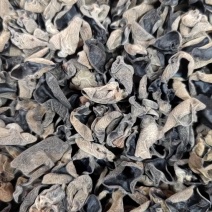 东北黑木耳干货批发秋木耳小碗耳木耳干货支持一件代发全国发