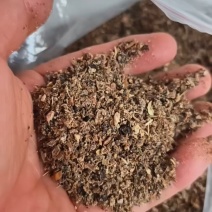 厂家直销优质苹果渣