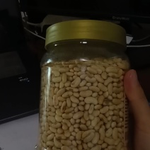 黄土高原非转基因肾型黑脐黄豆