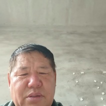 《推荐》新乡麦秸秆大量上市中！产地实发一手货源！！