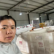 山东冠县丰水梨，脆甜多汁，产地直供，支持一件代发