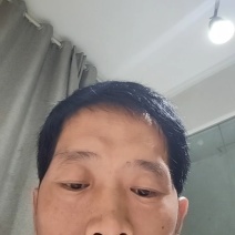 土豆粉条，细粉，宽粉都有批发市场，跑江湖，超市都可以