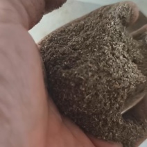 厂家直销酒糟，大厂家好质量