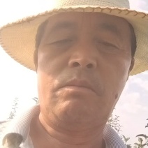 陕西苹果嘎啦苹果大量有货欢迎致电合作可视频