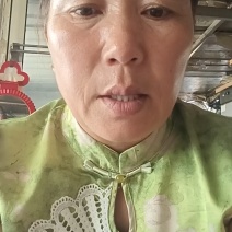 山东生姜主产区块头大颜色好辣味足一手货源代发全国