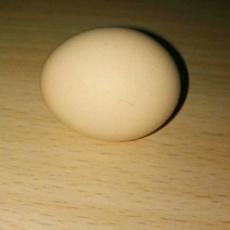 土鸡蛋食用40~50g