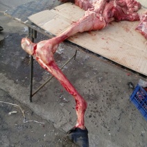 驴肉鲜货