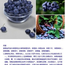 蓝莓4~6mm以上