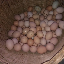 土鸡蛋食用50g以下