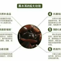 黑木耳一级