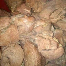 牛肉干黄牛肉鲜肉