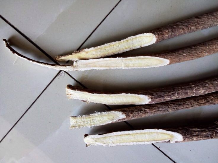 展示干燥的黄芩药材,根部切片,颜色呈黄褐色 黄芩药材展示图