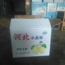 雪花梨