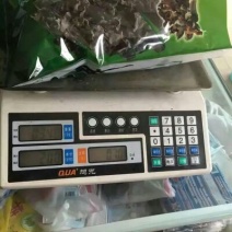 黑木耳特级