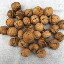 薄皮核桃