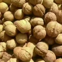 薄皮核桃30mm以上去皮干