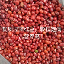 红豆