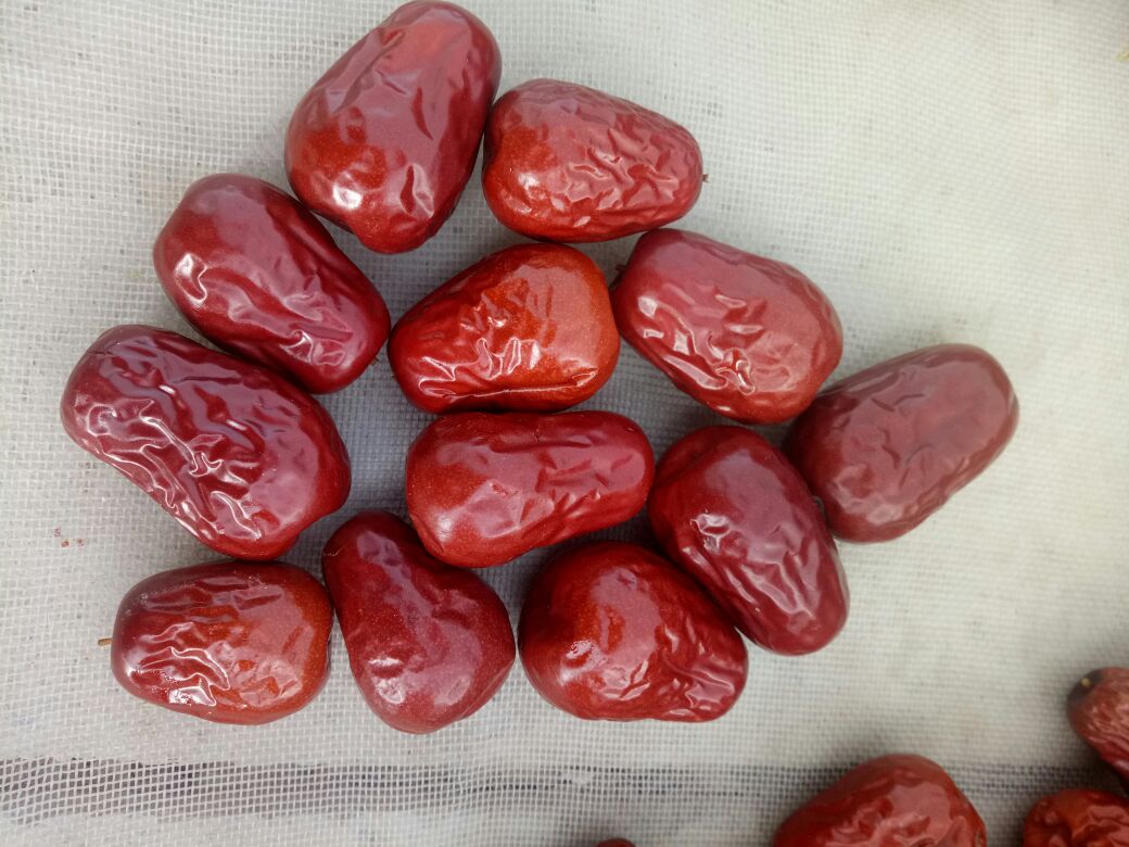 一位女性手持切开的新鲜骏枣，露出乳白色果肉和褐色果核，旁边摆放几颗完整果实，桌面铺有木质纹理布料