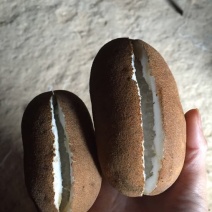 八月瓜