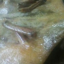 腊鸭