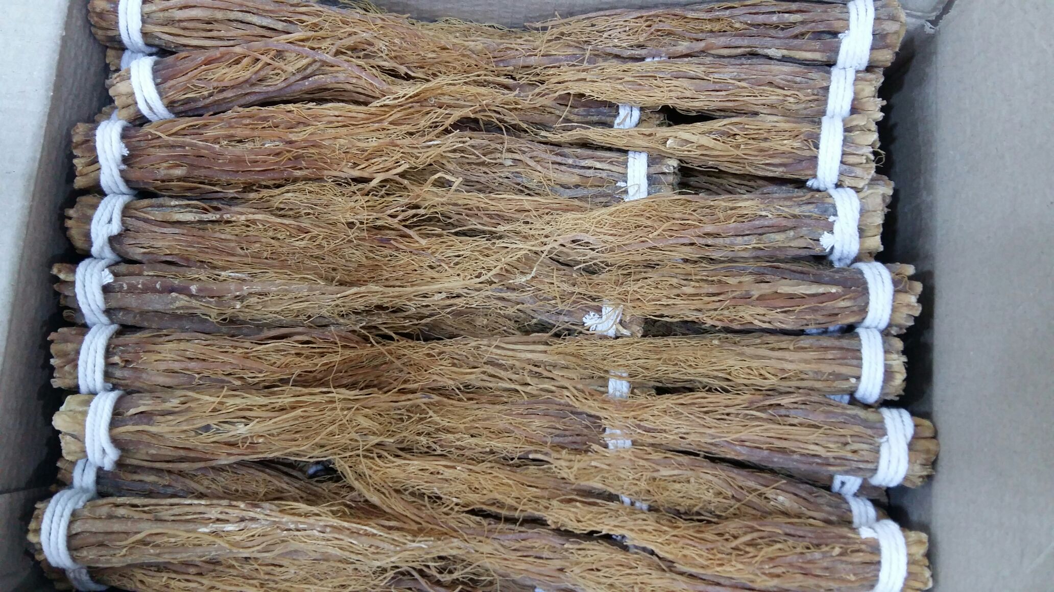 展示红极参冷冻保存的正确包装方式,袋子密封,标签清晰 红极参冷冻保存示意图