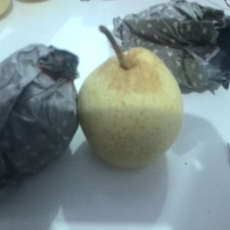 鸭梨250~300g纸加膜