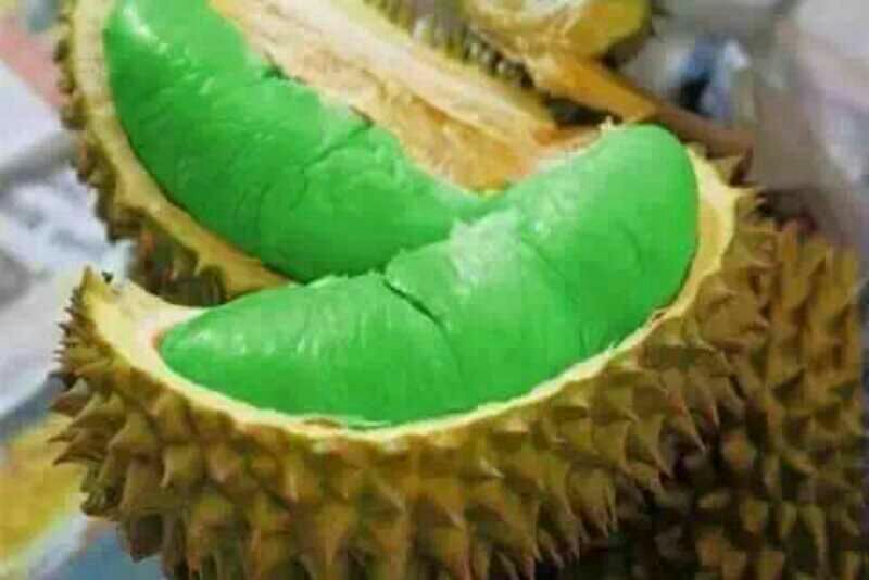 大青芒果实特写