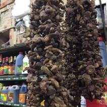 红蘑菇
