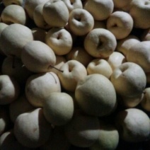 礼泉酥梨350~400g纸袋