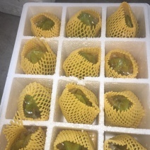 红杨桃