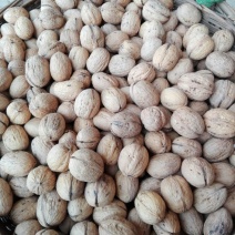 薄皮核桃去皮干