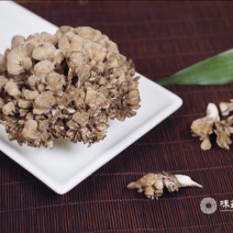 灰树花