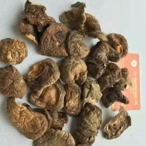 干香菇3~4cm