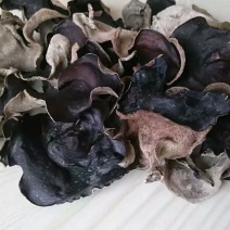 干木耳一级