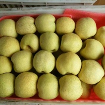 砀山梨250~300g纸箱