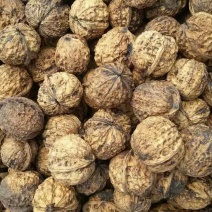 纸皮核桃去皮干