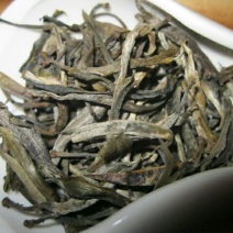 古树茶特级