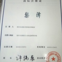 红薯淀粉