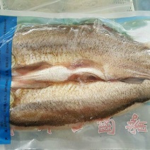 翘嘴白1.6~3斤