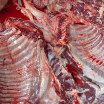 驴肉鲜货
