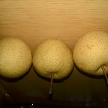 酸梨150~200g筐装