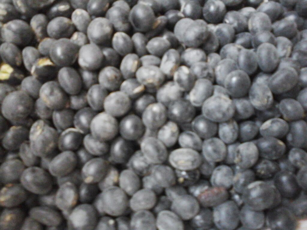 陈皮煲黑豆的食材搭配