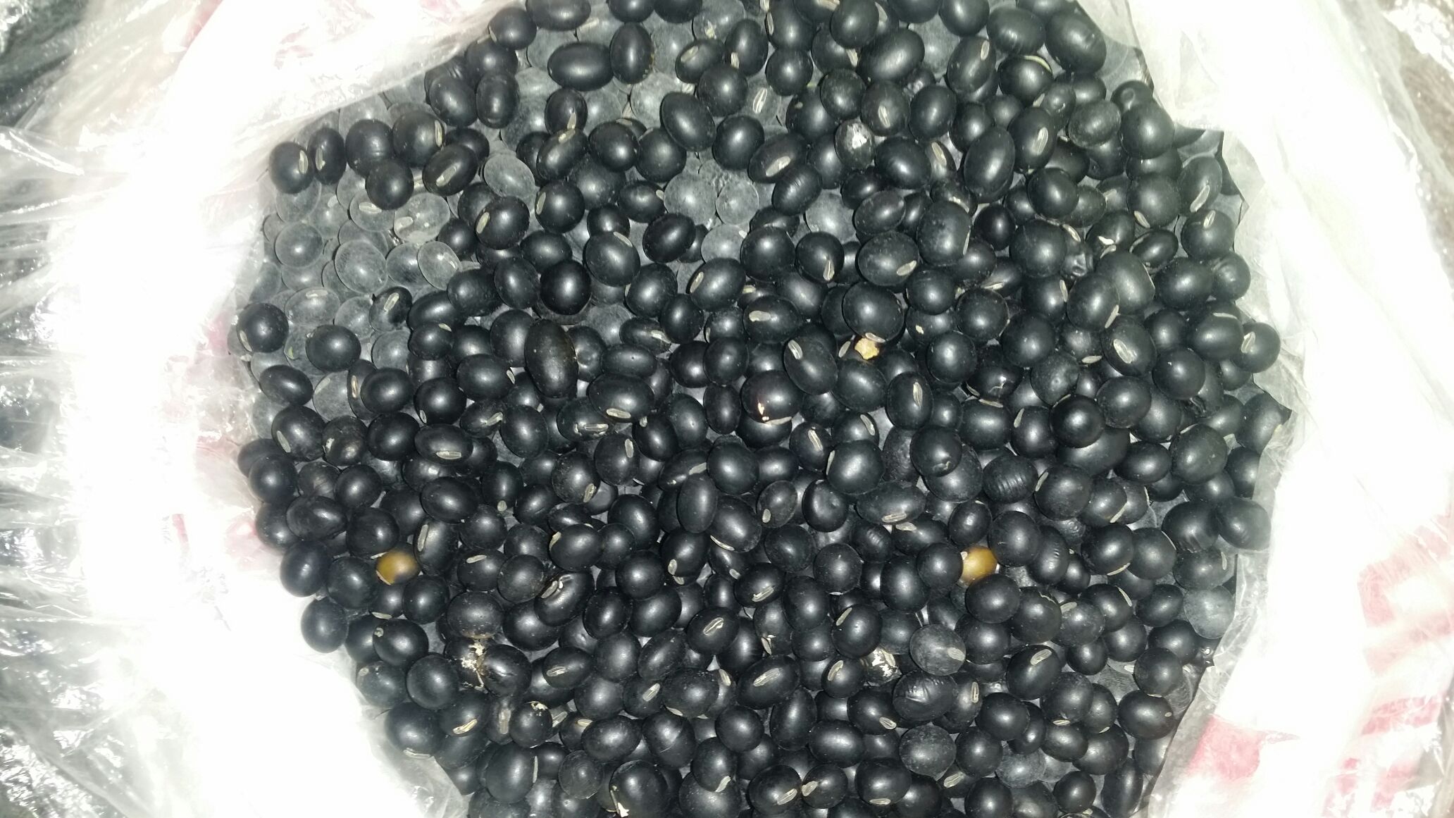 三只透明玻璃杯并列摆放:左侧为生黑豆浸泡液(浑浊淡黄色),中间为盐炮后煮出的黑豆水(清澈深褐色),右侧为市售黑豆饮料(添加色素的亮黑色液体),下方标注‘真·有效成分溶出’箭头指向中间杯子 黑豆饮品对比图